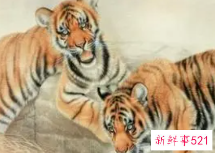 属猴的与属虎的合得来吗