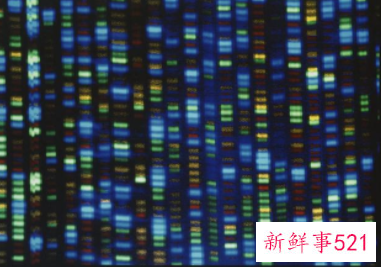 人类基因组完整图谱历时22年绘制完成