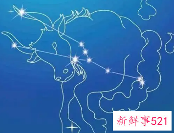 金牛座适合做销售吗