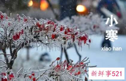 小大寒指的是小寒过了以后就是什么