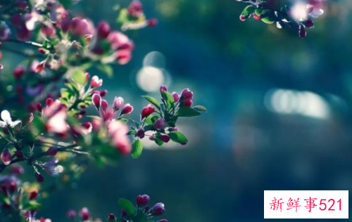 老了也要优雅的老去