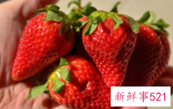 吃草莓的宜忌人群