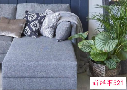 要抓住男人的心先抓住他的胃