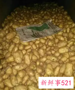 土豆储存长久的方法