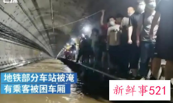 河南暴雨受灾流浪动物救援渠道