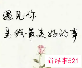 沈从文最美情话短句