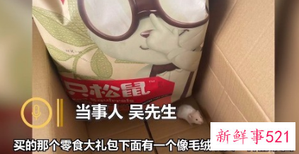 买三只松鼠送仓鼠怎么回事