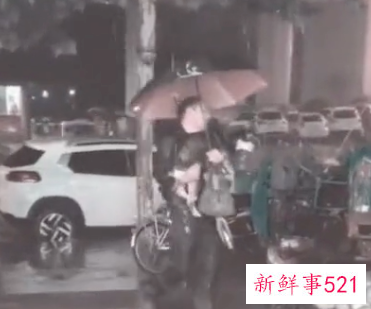 河南暴雨受灾流浪动物救援渠道