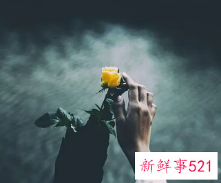 我也会爱上别人的句子