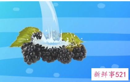 桑葚应该如何保存