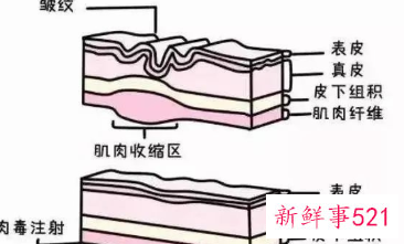 面部抗衰活动主题
