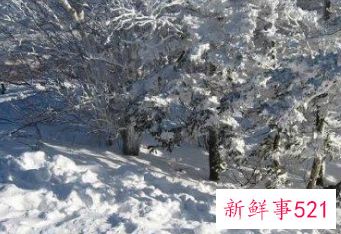 冬天北方人怎么穿