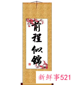 寓意前程似锦的公司名称