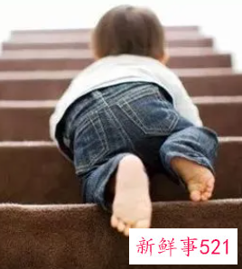宝宝爬楼梯的好处