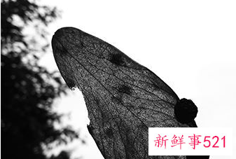 打官司必须去被告人所在地吗