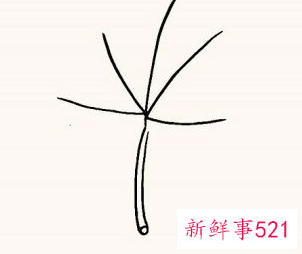 枫叶怎么画步骤