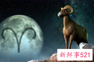 到底哪个星座可以配上白羊的深情