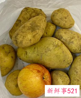 土豆储存长久的方法