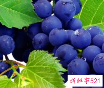 各类水果的营养价值及作用