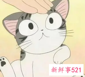 安慰女生不哭的话