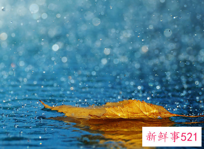 梦见陌生人来家里有什么征兆