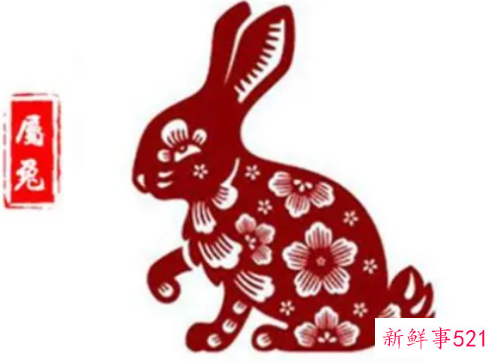 怎么让属兔男主动找你