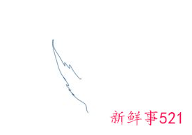 枫叶怎么画步骤