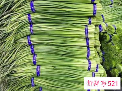 大量蒜苔怎么储存时间长