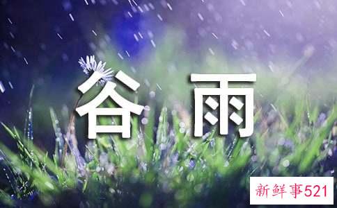 谷雨时节的养生攻略