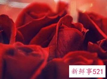 七夕情人节送女朋友礼物