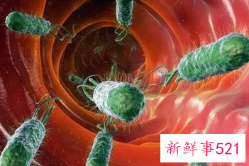 幽门螺杆菌怎么预防