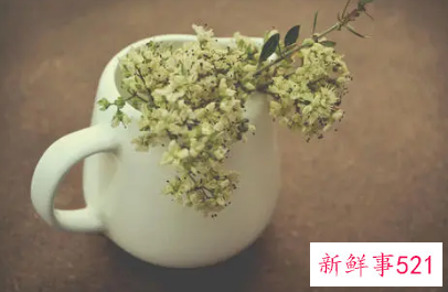 介绍一个好地方作文