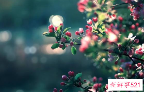 老了也要优雅的老去