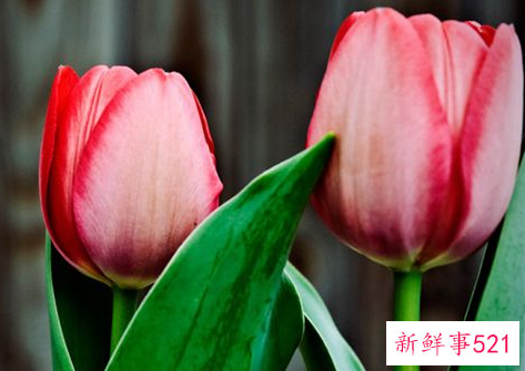 一句让男人能秒回的话句子