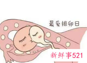 女人不排卵怎么能怀孕