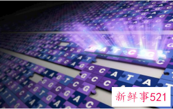 人类基因组完整图谱历时22年绘制完成