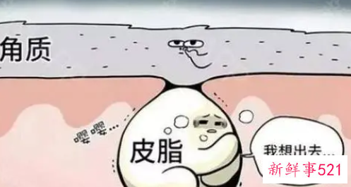 油性皮肤痘痘肌怎么调理