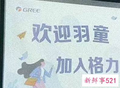 22岁董明珠秘书为何走红