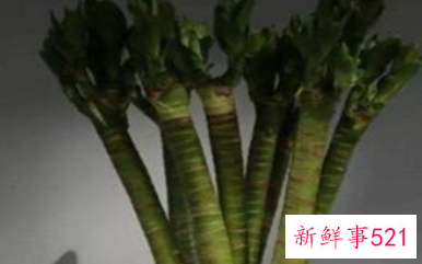 荷花竹水培怎么养