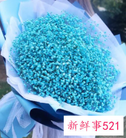 客厅放满天星干花好吗