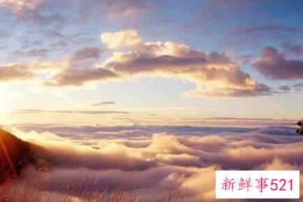 最好的旅游景点