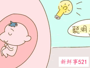 胎儿的智力受什么影响
