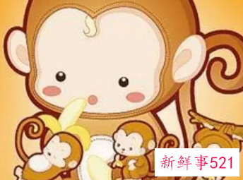 属猴男和属猴女相配吗