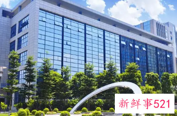 公司好听有创意的名字