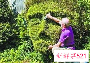 退休后培养什么爱好