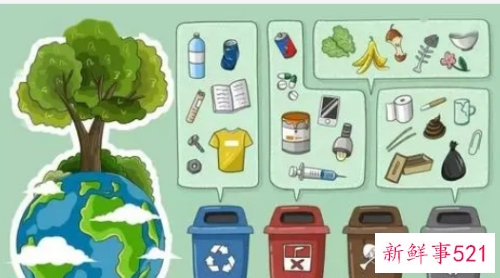绿植属于什么垃圾分类
