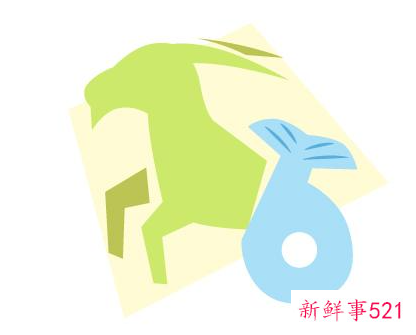 会照顾人的星座