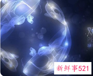 双子男最宠爱哪位星座特别宠爱