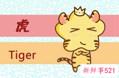 是金虎命五行属什么