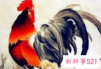 属鸡男喜欢女人的打扮